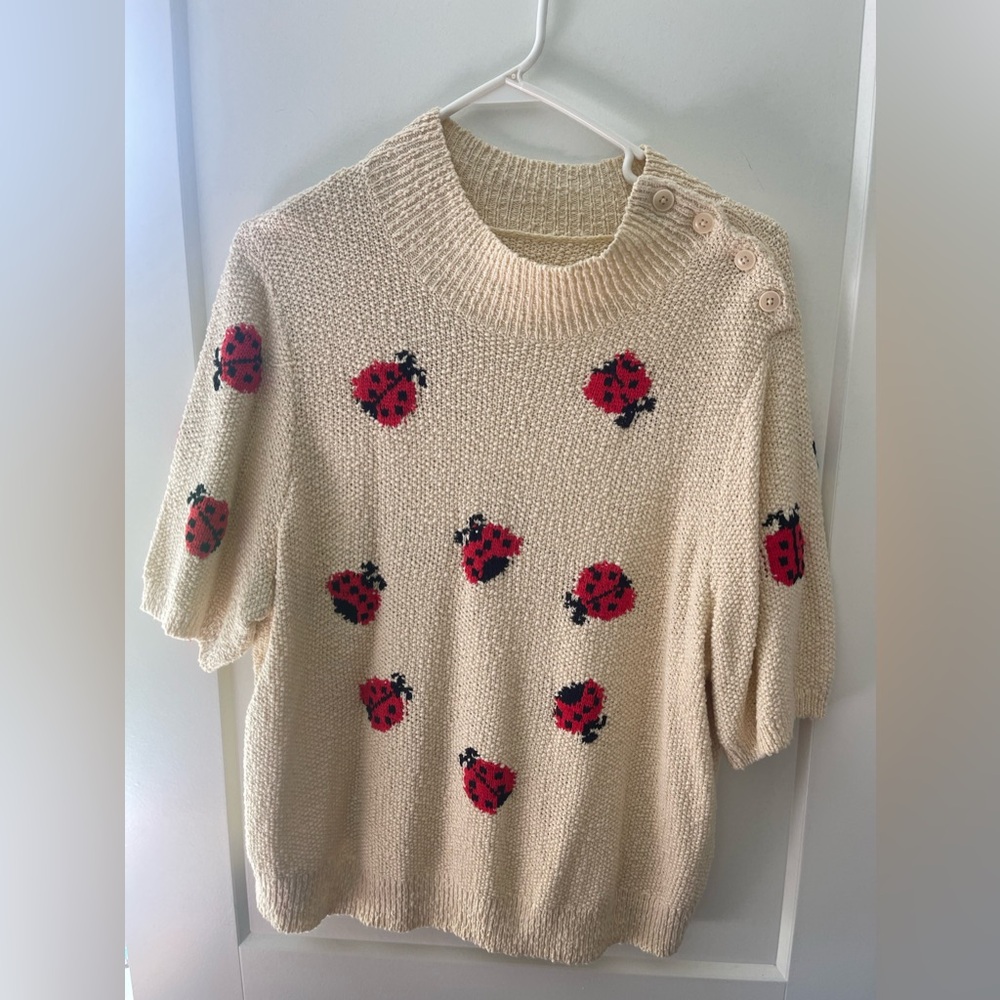 Maeve for Anthropologie ladybug sweater